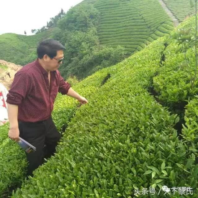 圖片1.jpg