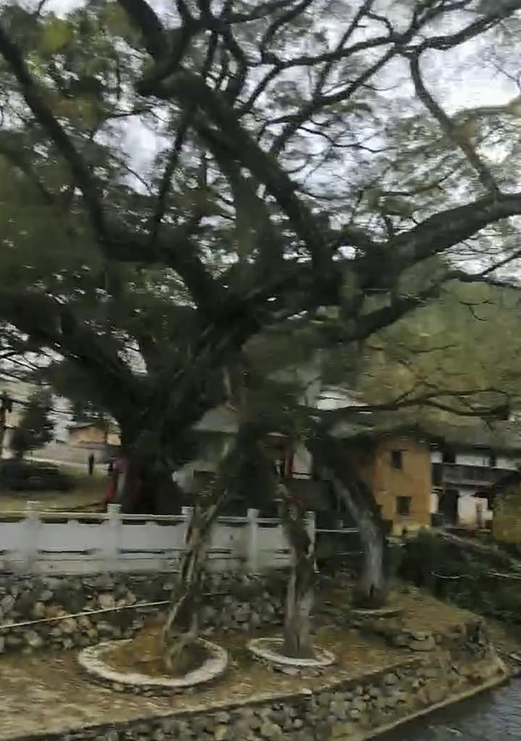 微信圖片_20190322193601.jpg